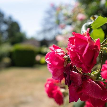 Carpe Diem Groemitz Ngoại thất bức ảnh